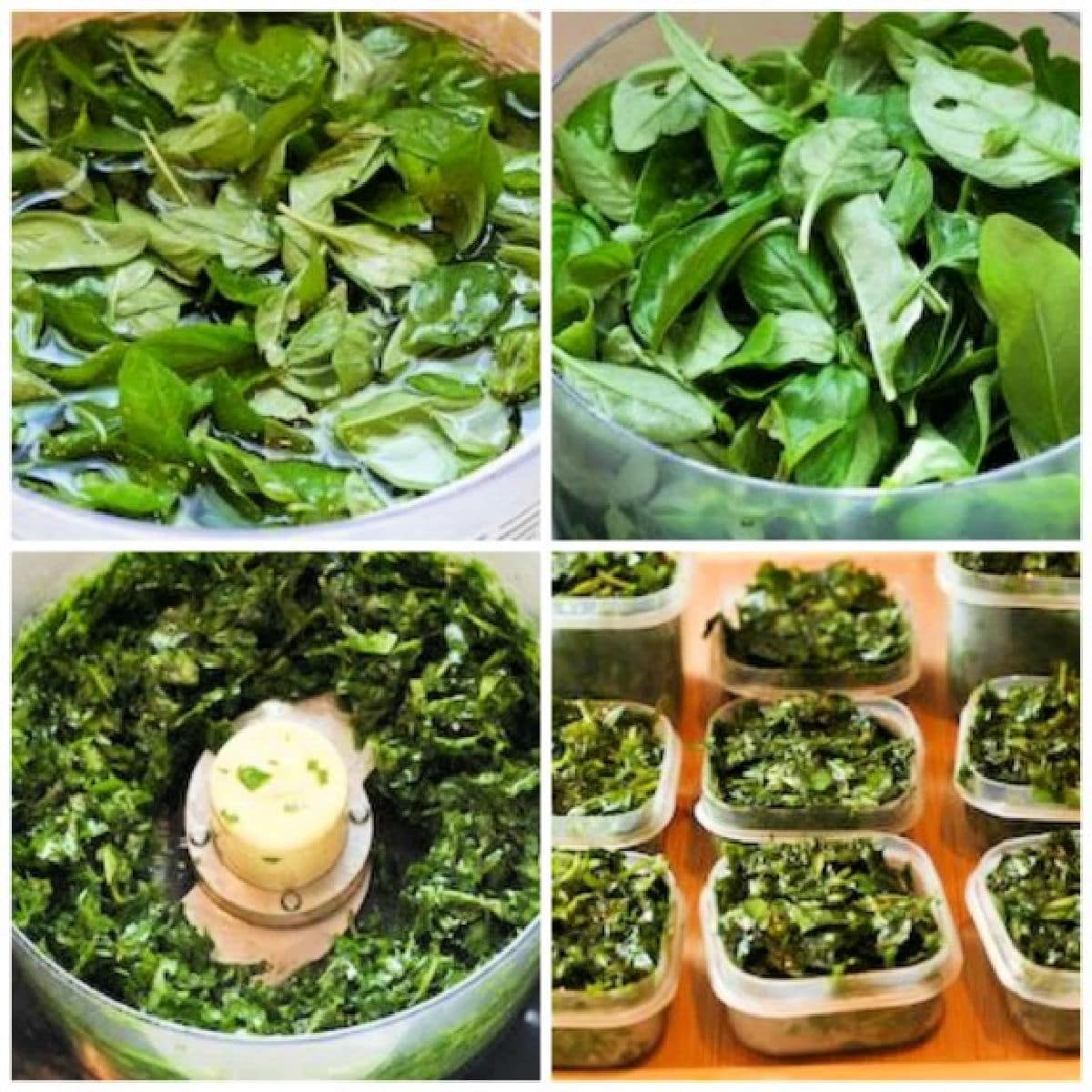 Collage photo showing the steps for How to Freeze Basil.